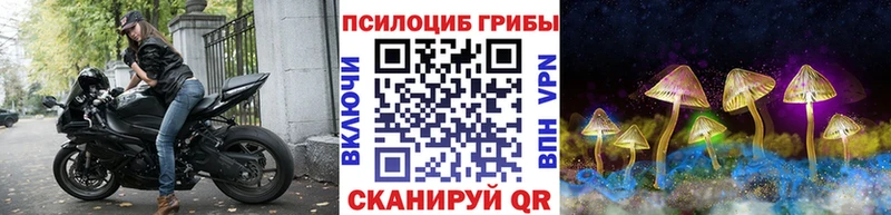 Псилоцибиновые грибы GOLDEN TEACHER  Усть-Джегута 