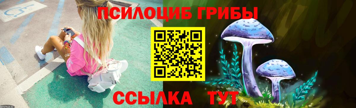 Галлюциногенные грибы GOLDEN TEACHER Усть-Джегута