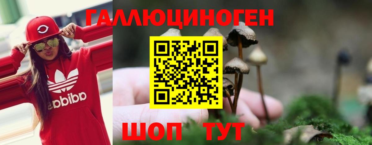 Усть-Джегута  Псилоцибиновые грибы ЛСД  Вход с VPN 